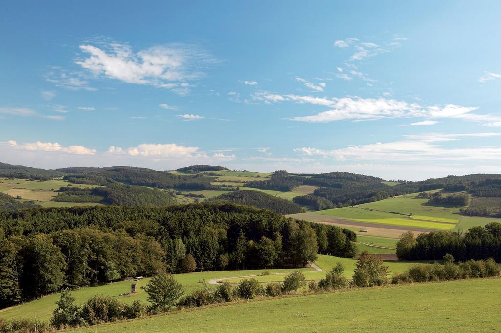 Wellnesshotel Buergerstuben Willingen  Exterior foto